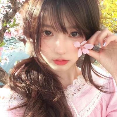 再见了,亲爱的总统